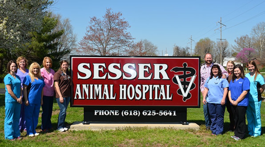 sesser-animal-hospital-team